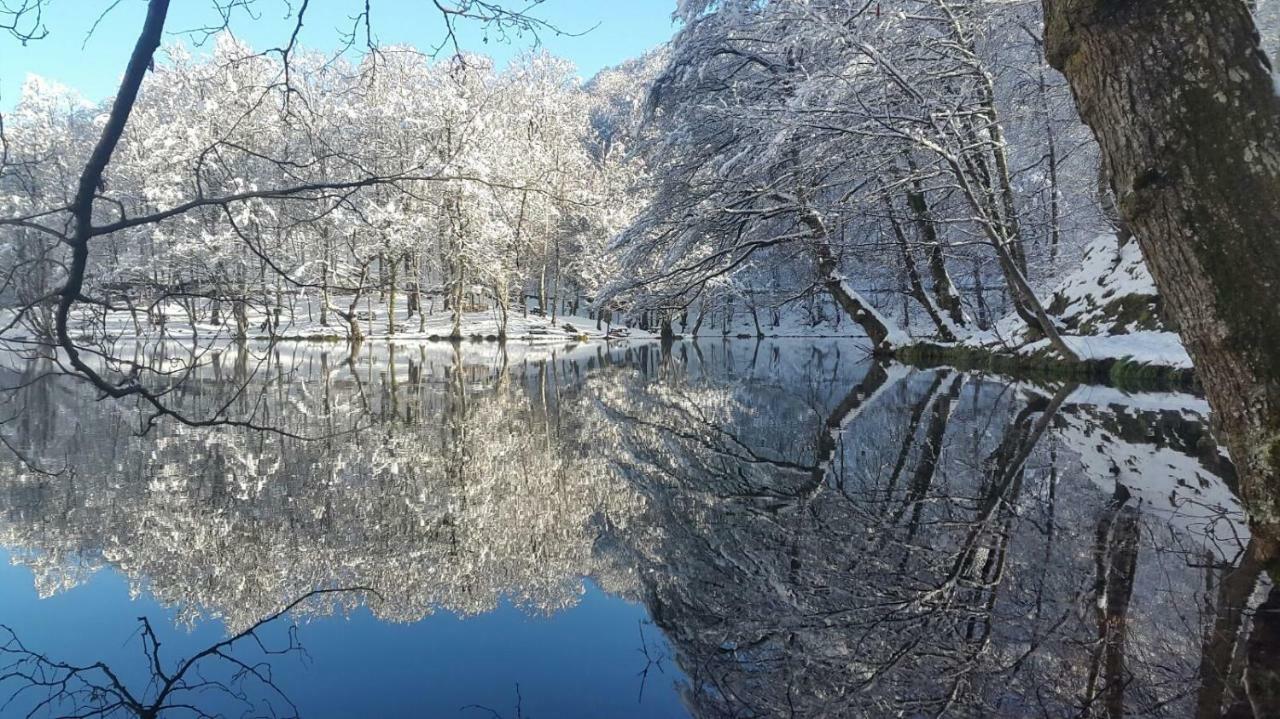 Гостьовий будинок Habitat Mesire Mengen Екстер'єр фото