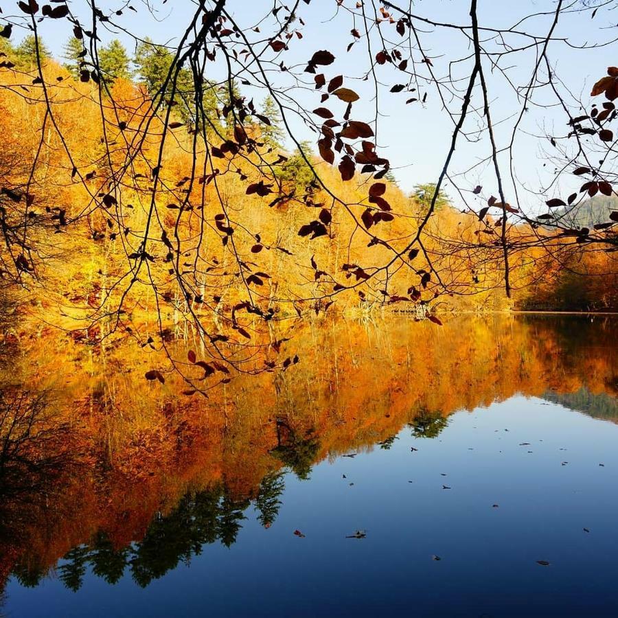 Гостьовий будинок Habitat Mesire Mengen Екстер'єр фото