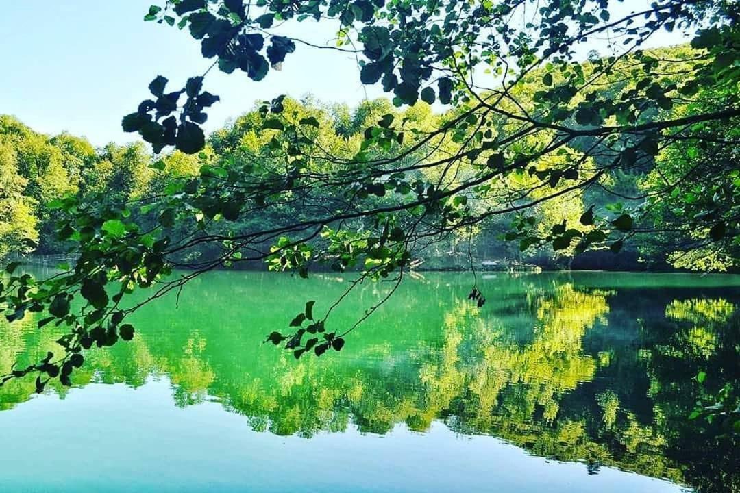 Гостьовий будинок Habitat Mesire Mengen Екстер'єр фото
