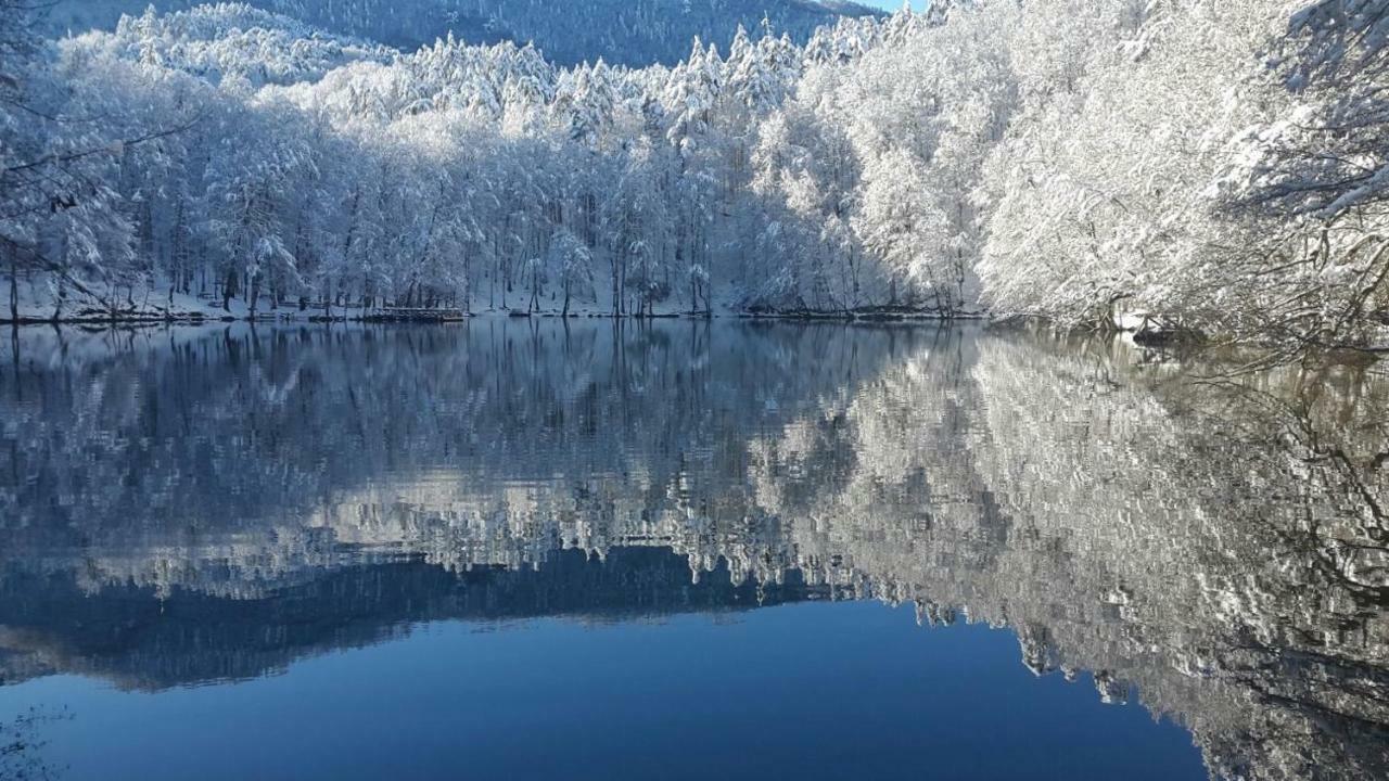 Гостьовий будинок Habitat Mesire Mengen Екстер'єр фото