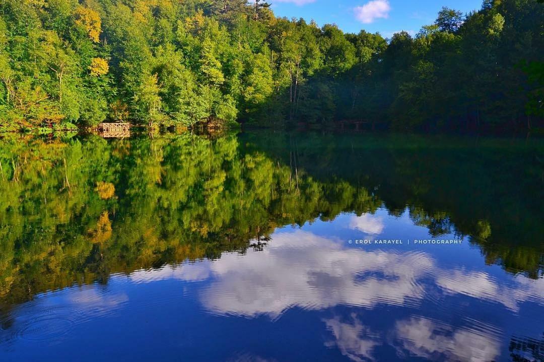 Гостьовий будинок Habitat Mesire Mengen Екстер'єр фото