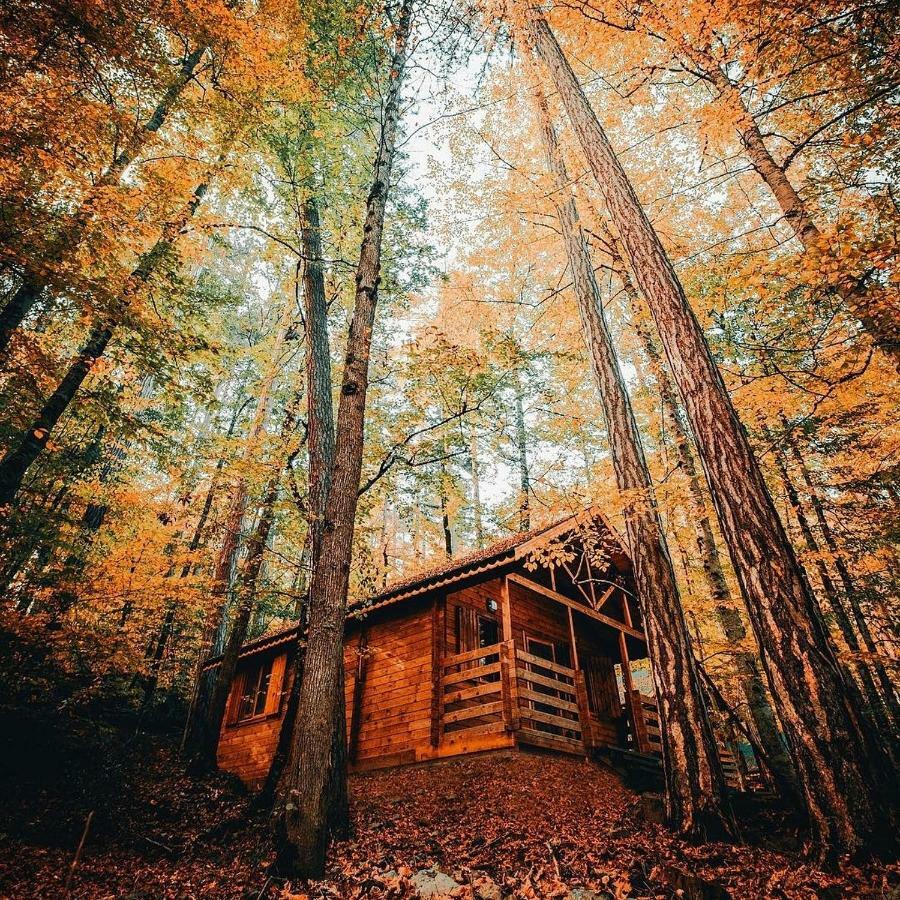 Гостьовий будинок Habitat Mesire Mengen Екстер'єр фото